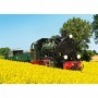 LGB 28006 Rügen Bäder Railroad Road Number 53 Mh Steam Locomotive