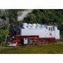 LGB 21482 Road Number 99 731 has been in use in the DRG version for a long time on the Zittau Narrow Gauge Railroad. In contr...