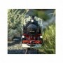 LGB 21482 Road Number 99 731 has been in use in the DRG version for a long time on the Zittau Narrow Gauge Railroad. In contr...