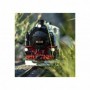 LGB 21482 Road Number 99 731 has been in use in the DRG version for a long time on the Zittau Narrow Gauge Railroad. In contr...