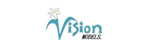 Vision Models