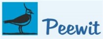 Peewit